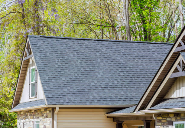 Best Chimney Flashing Repair  in Newton Falls, OH